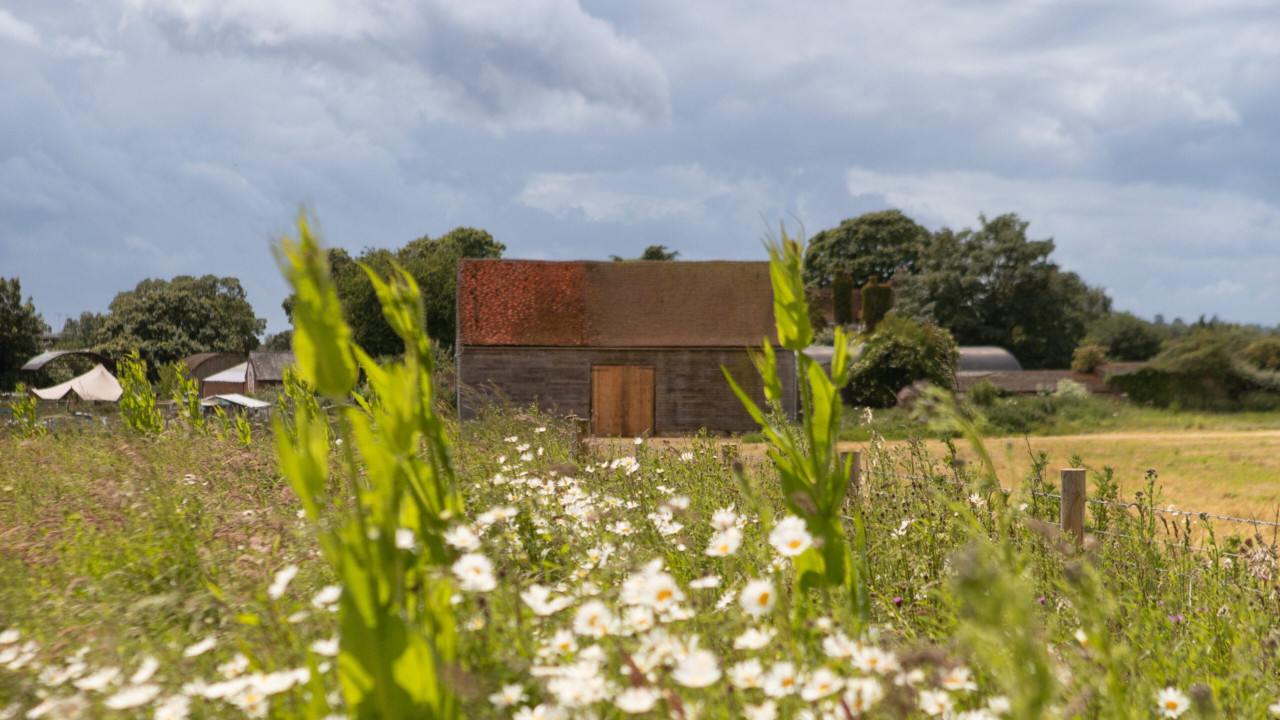 1. The Barn