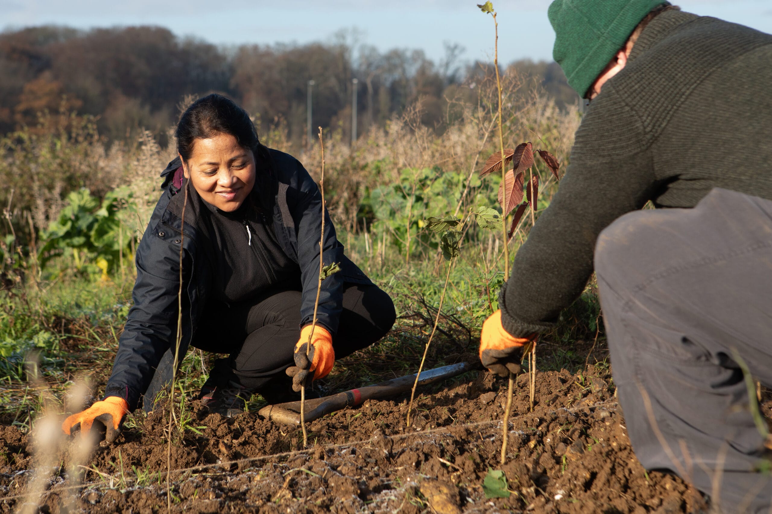 Hedge-Planting-Day-3-13