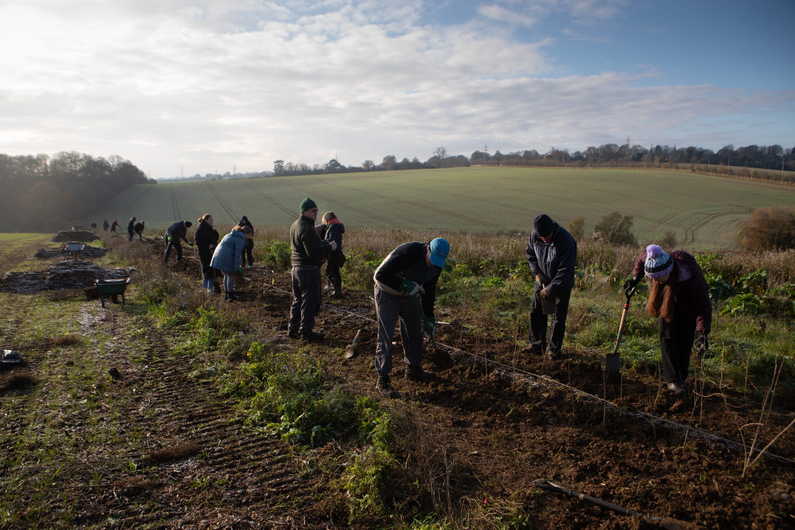 Hedge-Planting-Day-3-14-(2)