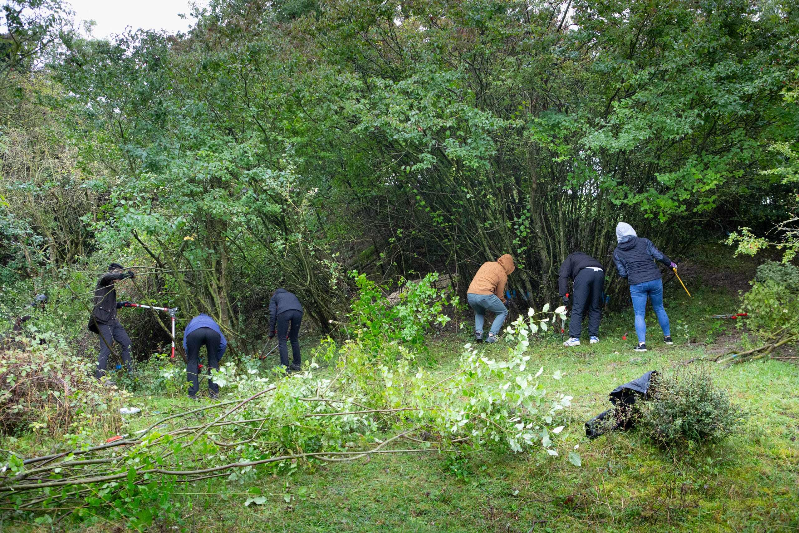 Hilton-Chalk-Grassland-12-(1)