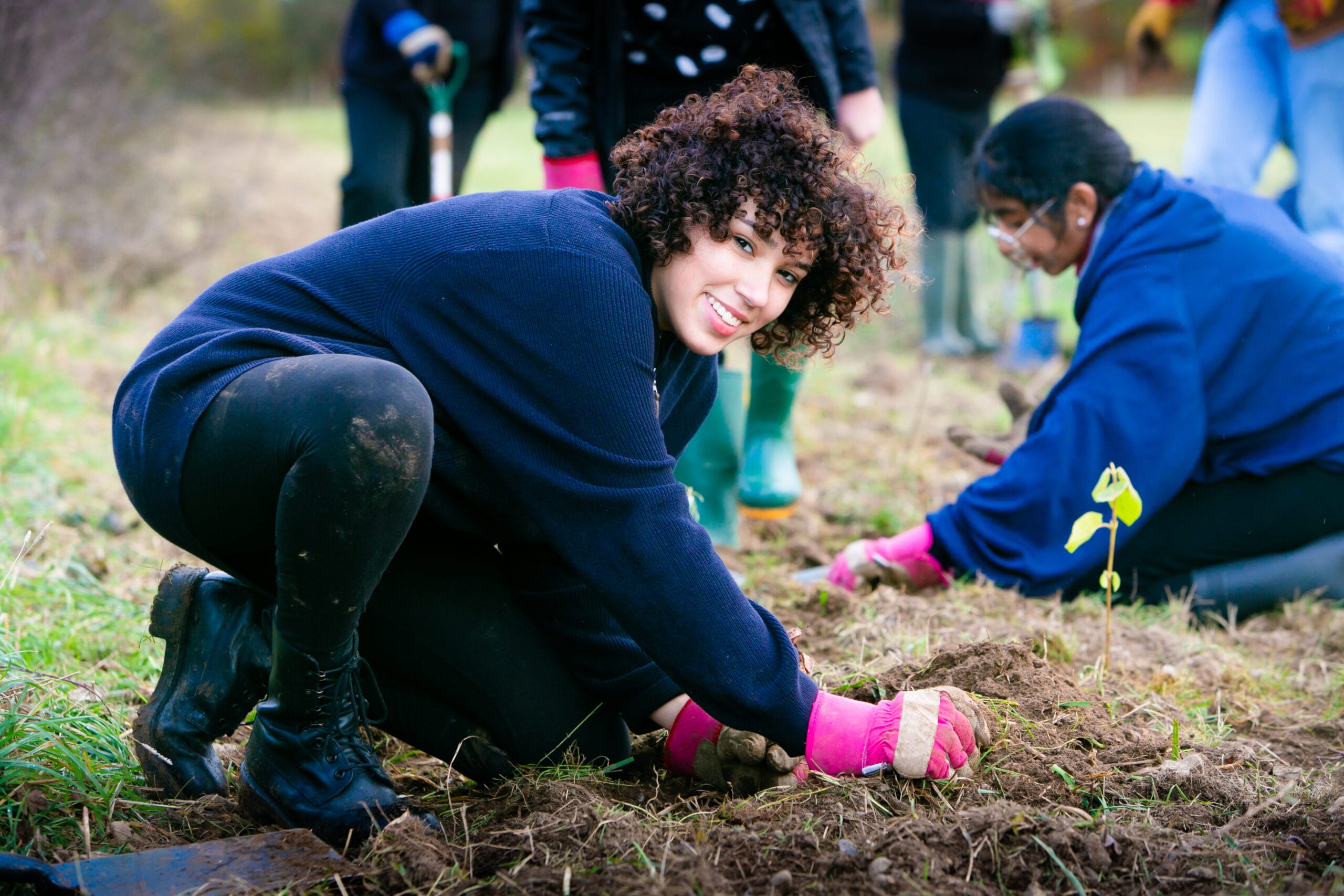 hedge-planting-day-2-0891-(3)