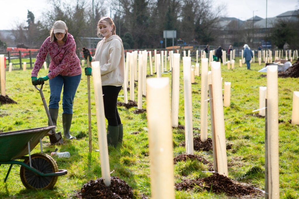 mother and daughter standing alongside 100s of newly planted trees in tree guards with woodchip around the base. Mother has spade in hand.