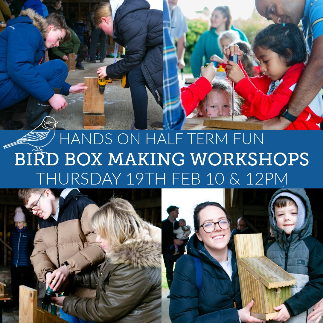 BUILD YOUR OWN BIRD BOX WORKSHOPS
