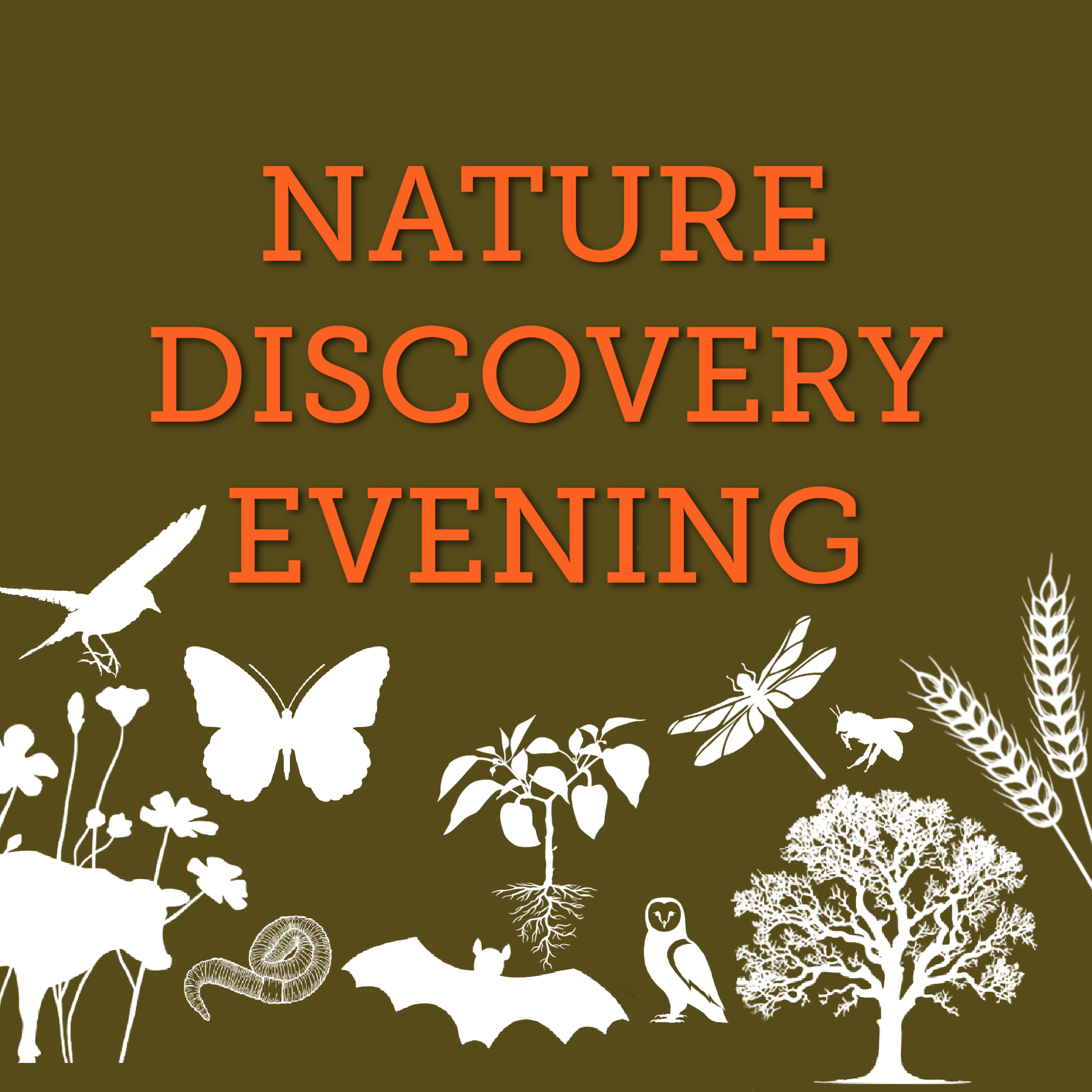 NATURE DISCOVERY EVENING