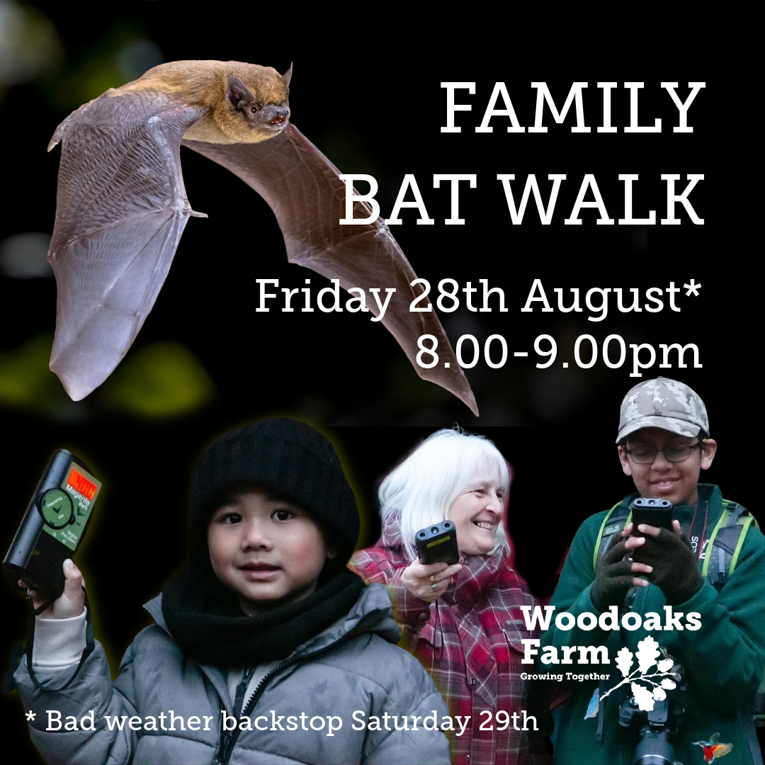 bat walk eventbrite Instagram Post (6)